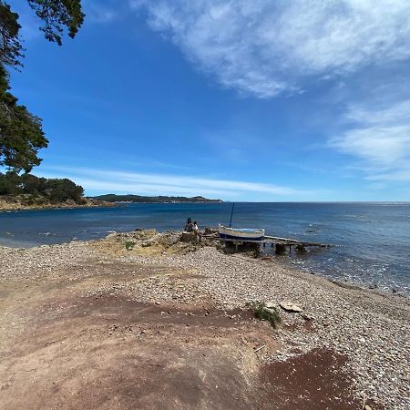 Le Jardin Cache Διαμέρισμα Sanary-sur-Mer Εξωτερικό φωτογραφία