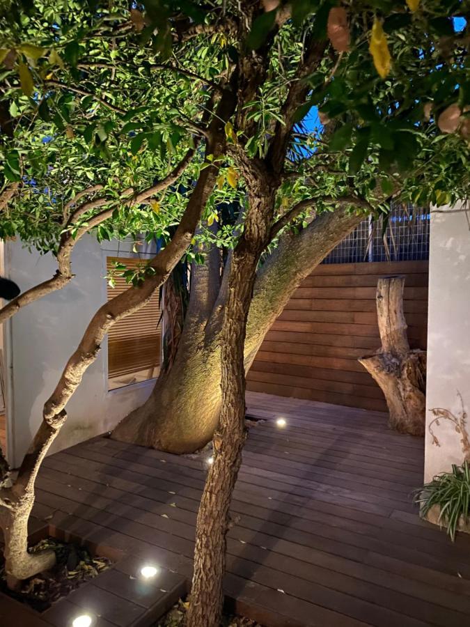 Le Jardin Cache Διαμέρισμα Sanary-sur-Mer Εξωτερικό φωτογραφία