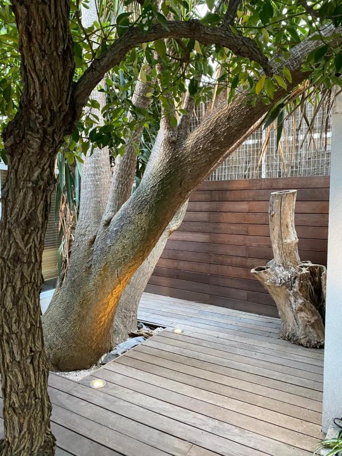 Le Jardin Cache Διαμέρισμα Sanary-sur-Mer Εξωτερικό φωτογραφία